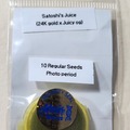 Sell: Satoshis Juice ~ 24K X Juicy OG By Adhesive Genetics