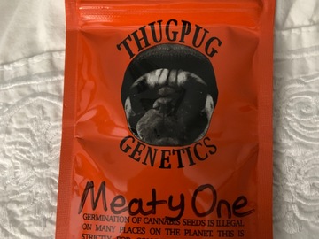 Venta: Meaty One - Thugpug