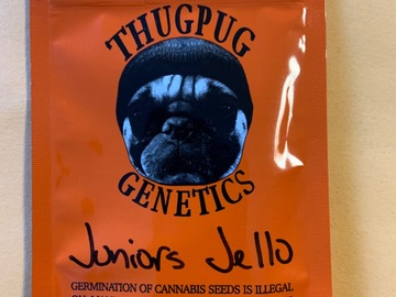 Sell: Juniors jello- Thugpug