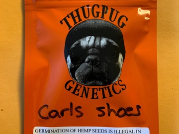 Vente: Carl’s Shoes- Thugpug