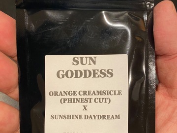 Sell: Sun Goddess