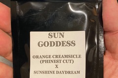 Vente: Sun Goddess