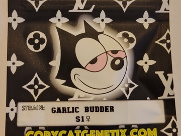 Venta: Garlic Budder S1 Copycat Genetix 10 Pack FEMS