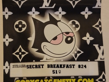Vente: Secret Breakfast #24 S1 Copycat Genetix FEMS