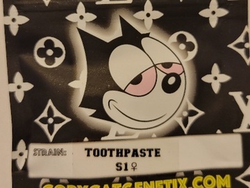 Vente: Toothpaste S1 Copycat Genetix Clone Only FEMS