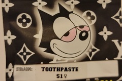 Venta: Toothpaste S1 Copycat Genetix Clone Only FEMS
