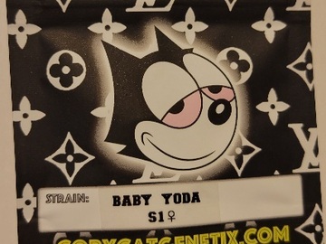 Vente: Baby Yoda S1 Copycat Genetix Clone Only FEMS