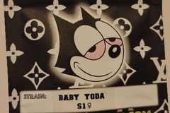 Vente: Baby Yoda S1 Copycat Genetix Clone Only FEMS