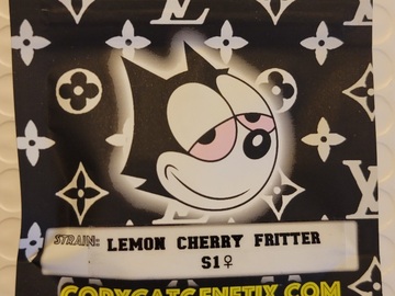 Venta: Lemon Cherry Fritter S1 Copycat Genetix Clone Only FEMS