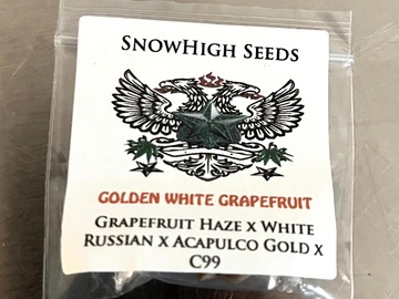 Venta: SALE! Golden White Grapefruit - Snow High + Freebies + $0 Ship