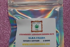 Sell: Strawberry Lemonade Banana OG F2 - 6 Seeds