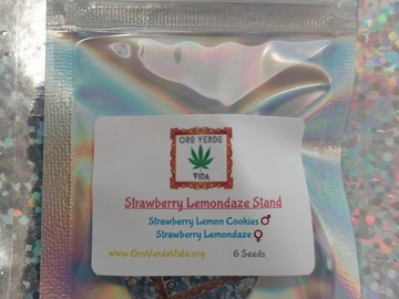 Vente: Strawberry Lemondaze Stand - 6 seeds