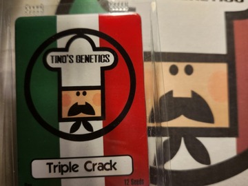 Venta: Tino's Genetics Triple Crack