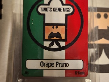 Vente: Tino's Genetics Grape Pruno