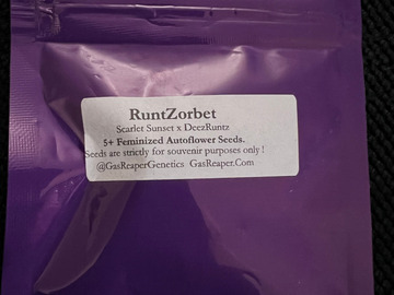 Venta: Gas Reaper Genetics RuntZorbet 5 pack