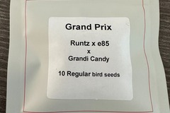 Venta: LIT Farms Grand Prix ((Runtz x e85) x Grandi Candy)