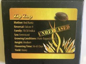 Vente: Zip Zap from Exotic Genetix