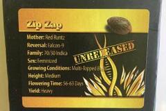 Sell: Zip Zap from Exotic Genetix
