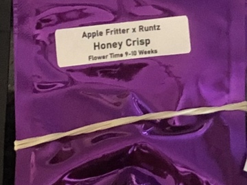 Venta: Honey crisp (Clearwater)