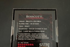 Sell: Bosscotti by Solfire Gardens