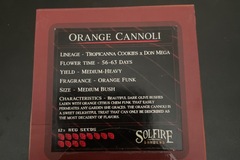 Sell: Orange Cannoli By Solfire Gardens