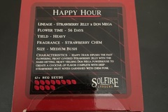 Sell: Happy Hour By solfire Gardens