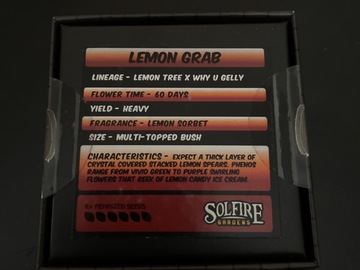 Vente: Lemon Grab By Solfire Gardens