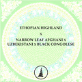 Venta: Ethopian Highland x Narrow Leaf Afghani x Uzbeki x Congolese