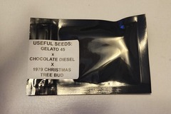 Sell: Useful Seeds Gelato x Chocolate Diesel x 79 Christmas Tree Bud