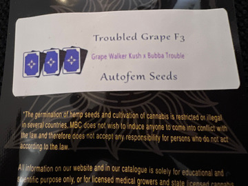 Sell: Magic Strains Troubled Grape F3 5 pack