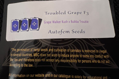 Sell: Magic Strains Troubled Grape F3 5 pack