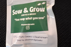 Sell: Sow & Grow (CFL x Puffo Gelato) x Deathdream 6 pack