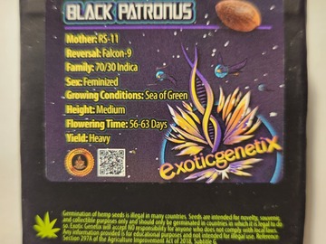 Venta: Black Patronus by Exotic Genetix