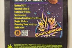 Vente: Black Patronus by Exotic Genetix