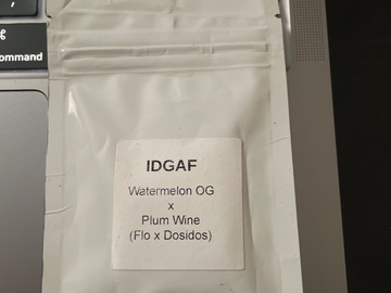 Sell: IDGAF By Lit Farms