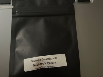 Venta: Gushers N Cream By Clearwater Genetics