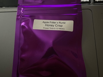 Vente: Honey Crisp By Clearwater Genetics