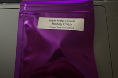 Sell: Honey Crisp By Clearwater Genetics