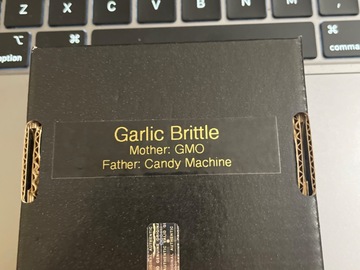 Vente: Garlic Brittle By 808 Genetics
