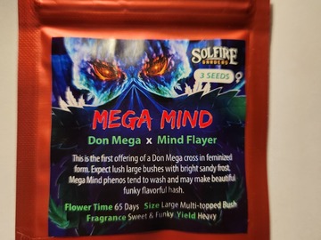 Venta: Mega Mind from Solfire Gardens