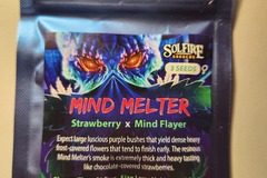 Sell: Mind Melter From Solfire Gardens