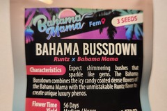 Sell: Bahama Bussdown from Solfire Gardens
