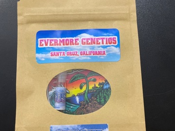 Sell: Gush Popz By Evermore Genetics