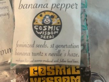 Venta: Cosmic Wisdom Seeds - Banana Pepper