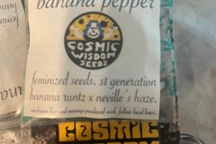 Sell: Cosmic Wisdom Seeds - Banana Pepper
