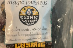Sell: Cosmic Wisdom Seeds - Magic Journeys