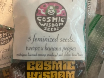 Vente: Cosmic Wisdom Seeds - Banana Twerpz