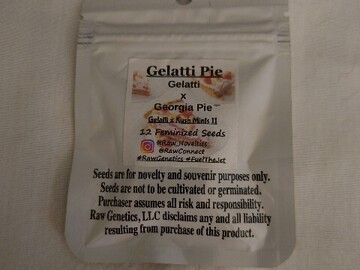 Sell: RAW Genetics - Gelatti Pie