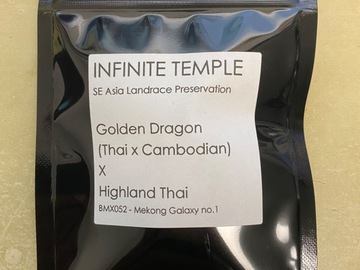 Venta: Infinite Temple