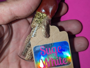 Vente: Sunken Treasure Seeds : Suge White( Sugarcane x HighMac)